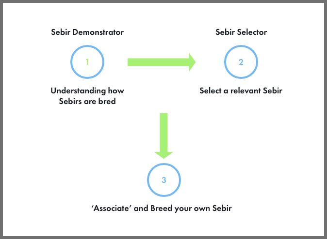 How does Sebir.com work